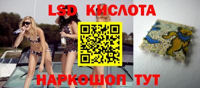гашик Кулебаки