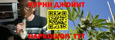 гашик Кулебаки