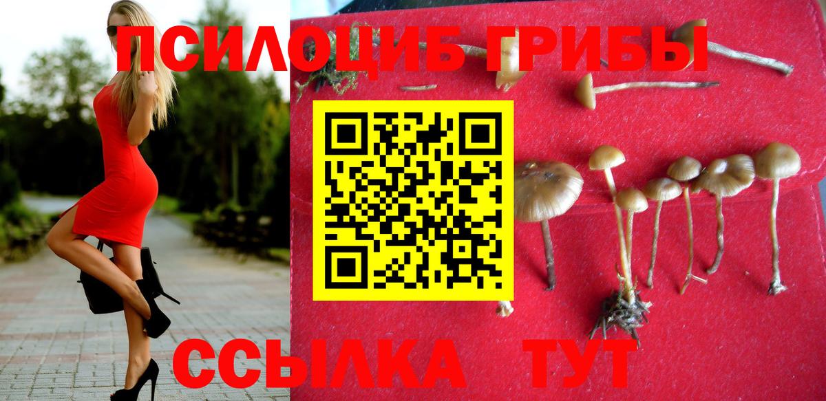 Псилоцибиновые грибы мицелий  Вход с VPN  Кингисепп 