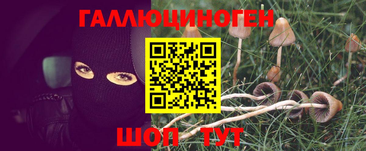 Псилоцибиновые грибы MAGIC MUSHROOMS Кингисепп